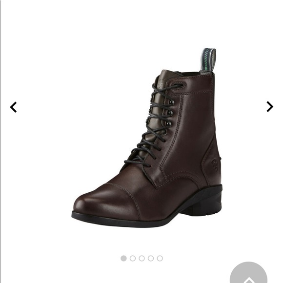 ariat square toe paddock boots